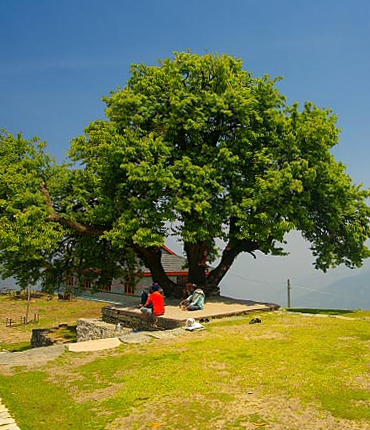 Awesome Place